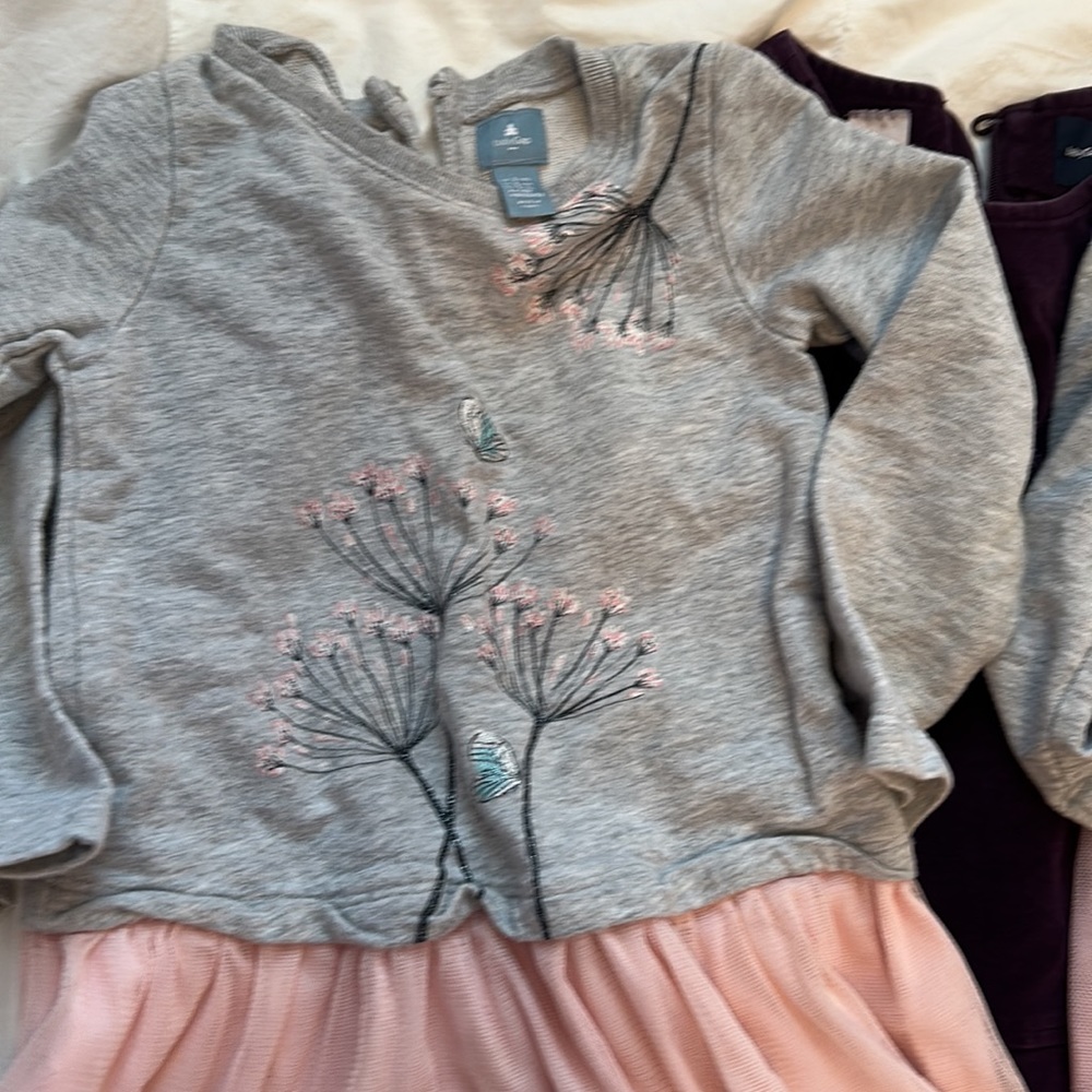 Bundle of 3T dresses. 5 long sleeve and 1 jumper. - Picture 2 of 7
